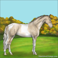 Horse Color:Silver Buckskin Roan Pearl Tobiano Rabicano 