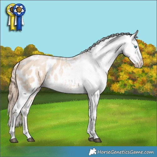 Horse Color:Buckskin Roan Snowdrop Tobiano Appaloosa Rabicano 