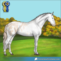Horse Color:Buckskin Roan Snowdrop Tobiano Blanket Rabicano 