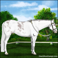 Horse Color:Chocolate Silver Smoky Grullo Chinchilla Sabino Splash 