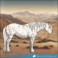 Horse Color:White Spotted Silver Buckskin Snowdrop Near Leopard 