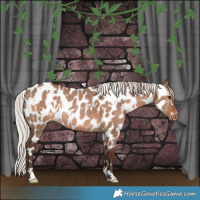 Horse Color:White Spotted Silver Brown Dun Near Leopard Rabicano 