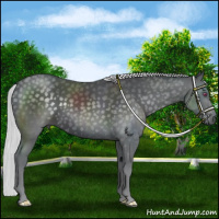 Horse Color:Silver Black Chinchilla 