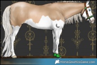 Horse Color:Chocolate Palomino Pearl Splash