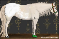Horse Color:Smoky Creme Snowcap 