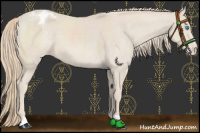 Horse Color:Smoky Creme Blanket 