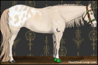 Horse Color:Perlino Blanket 