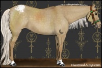 Horse Color:Silver Smoky Grullo Varnish 