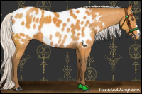 Horse Color:Silver Buckskin Blanket 