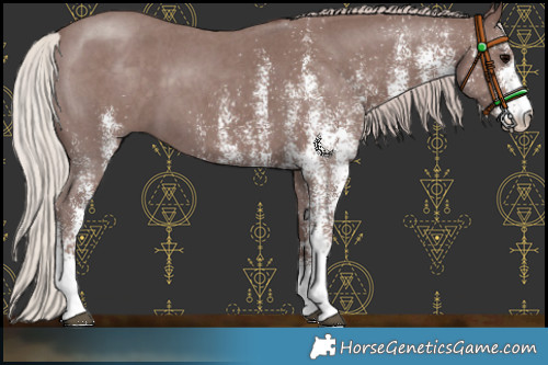 Horse Color:White Spotted Chocolate Silver Black 