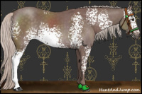 Horse Color:White Spotted Chocolate Silver Black