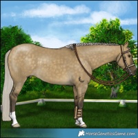 Horse Color:Silver Buckskin Dun 