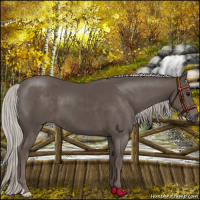Horse Color:Silver Black 
