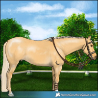 Horse Color:Palomino Dun 