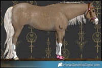 Horse Color:Silver Smoky Black 