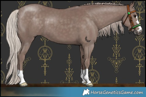 Horse Color:Chocolate Silver Black 
