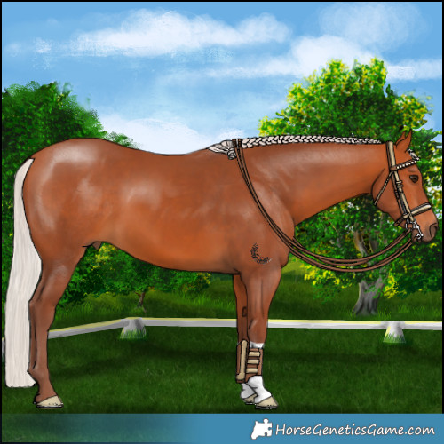 Horse Color:Chocolate Silver Bay 