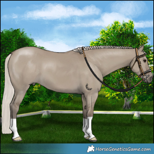 Horse Color:Silver Smoky Grullo 