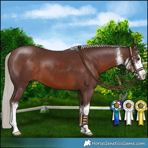 Horse Color:White Spotted Chocolate Silver Brown 