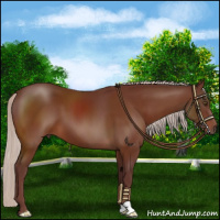 Horse Color:Chocolate Silver Brown 
