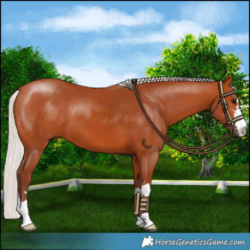 Horse Color:Chocolate Silver Bay 