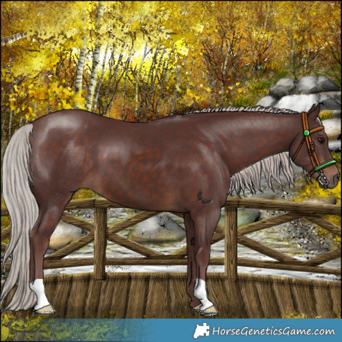 Horse Color:Chocolate Silver Brown 