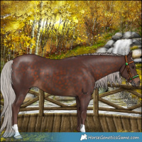 Horse Color:Chocolate Silver Brown 