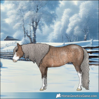 Horse Color:Silver Brown Dun Sabino Rabicano 