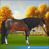 Horse Color:Brown Sabino Tobiano 