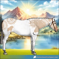 Horse Color:Bay Dun Splash Tobiano