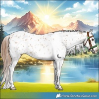 Horse Color:Bay Dun Sabino Tobiano Near Leopard 