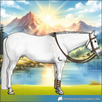 Horse Color:Gray Grullo Roan Splash Varnish 