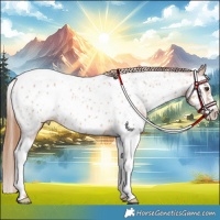 Horse Color:Red Roan Splash Near Leopard 
