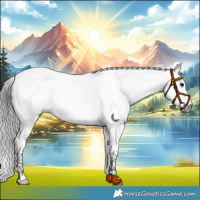 Horse Color:Gray Grullo Splash Tobiano 