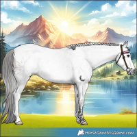Horse Color:Gray Bay Sabino Tobiano Frame 