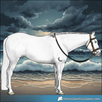 Horse Color:Gray White Spotted Chestnut Splash