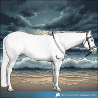 Horse Color:Gray Bay Roan Splash Tobiano 