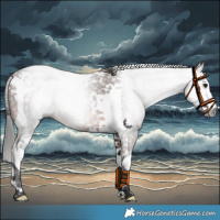 Horse Color:Gray Bay Tobiano 