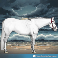 Horse Color:Gray White Spotted Black Sabino Blanket 