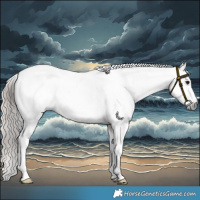 Horse Color:Gray White Spotted Bay Tobiano Snowcap 