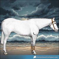 Horse Color:Gray Brown Tobiano Near Leopard 