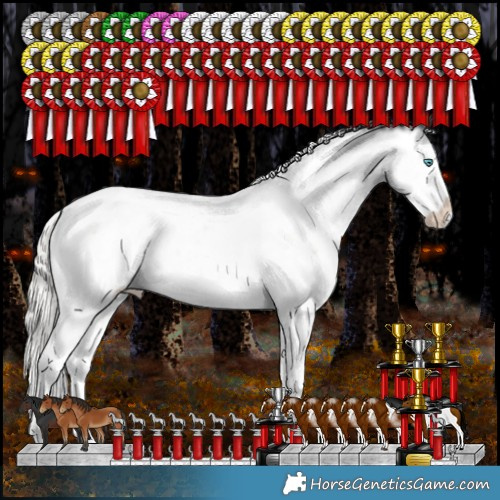 Horse Color:White Spotted Silver Brown Snowdrop Pearl Dun Tobiano Appaloosa Rabicano 