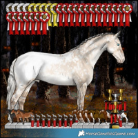 Horse Color:White Spotted Silver Brown Pearl Dun Tobiano Appaloosa Rabicano