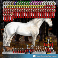 Horse Color:White Spotted Silver Brown Snowdrop Pearl Dun Tobiano Snowcap Rabicano