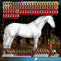 Horse Color:White Spotted Silver Brown Snowdrop Pearl Dun Tobiano Appaloosa Rabicano