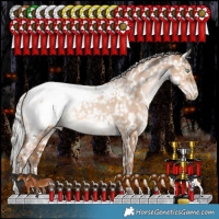 Horse Color:White Spotted Silver Brown Pearl Dun Tobiano Appaloosa Rabicano 
