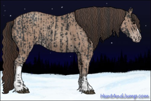 Horse Color:Black  and Classic Champagne 