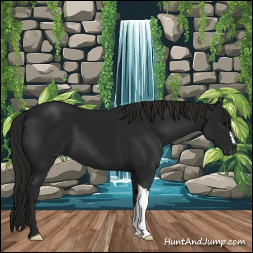 Horse Color:Gray Black 