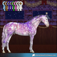 Horse Color:Gray Watercolor Gold Champagne Appaloosa and Gray Watercolor Silver Smoky Grullo Onyx Splash Tobiano Appaloosa Brindle