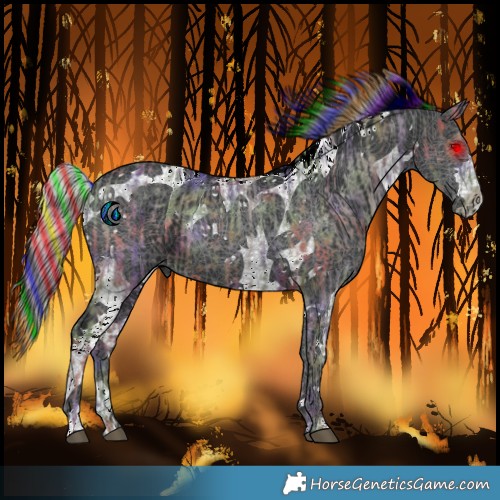 Horse Color:Painted Nacre Silver Black  and Black Tobiano 